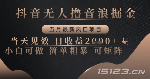 抖音无人撸音浪掘金,五月最新风口项目,当天见效,日收益多张,小白可做简单粗暴可矩阵【揭秘】