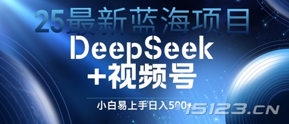 25最新蓝海项目DeepSeek+视频号，小白易上手日入几张