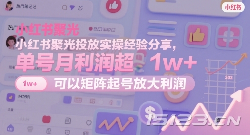 小红书聚光投放实操经验分享,单号月利润超1w+,可以矩阵起号放大利润