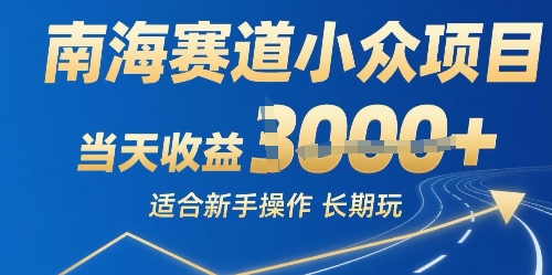 南海赛道小众项目，当天收益1k+适合新手操作可以长期玩