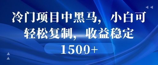 冷门项目中黑马，小白可轻松复制，收益稳定1.5k