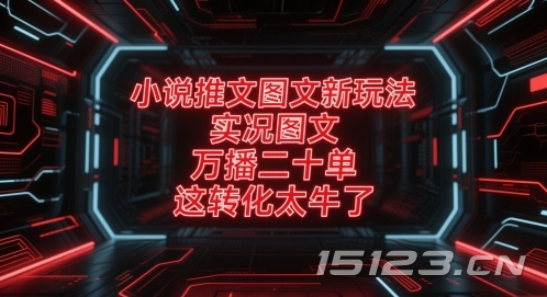 小说推文图文新玩法,实况图文,万播二十单,这转化太牛了!