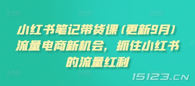 小红书笔记带货课(更新25年5月)流量电商新机会,抓住小红书的流量红利