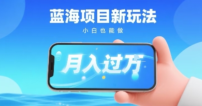 小红书蓝海项目新玩法，一部手机即可月入过W，推荐小白做非常简单认可度超高