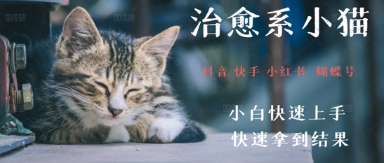 拆解，疯狂火爆！抖音，小红书，视频号小猫治愈的视频，轻松制作+快速拿到结果