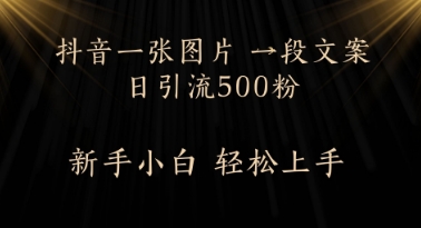 每天2分钟,抖音一张图片 一段文案日引流500粉