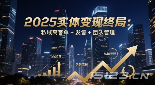 2025实体变现终局:私域高客单+发售+团队管理
