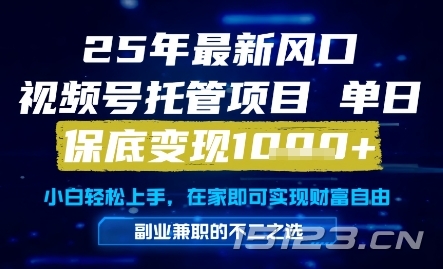 25年最新风口,视频号托管项目,单日保底变现1k+,手把手教学【揭秘】