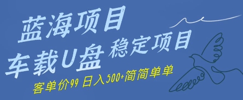 蓝海项目车载U盘稳定项目,挣的就是信息差,客单价99,日入几张简简单单