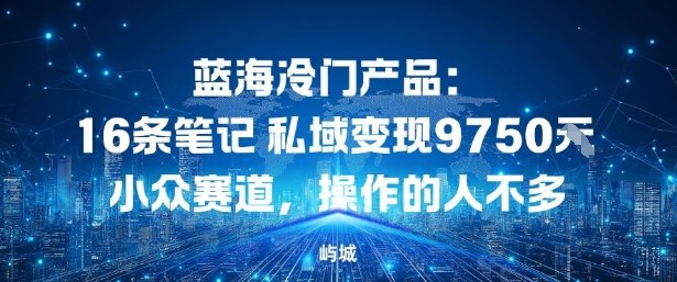 蓝海冷门产品：16条笔记私域变现9750米，小众赛道，操作的人不多