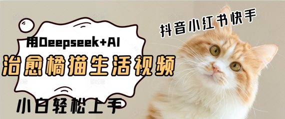 疯狂火爆,用Deepseek+AI做治愈橘猫系列视频,小白轻松制作+快速拿到结果