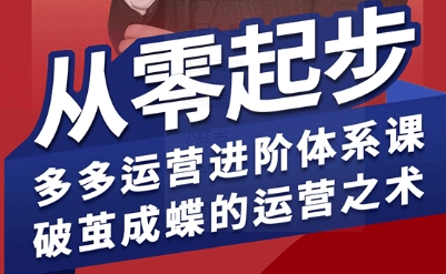 拼多多运营进阶系统课,从零起步,多多运营进阶体系课,破茧成蝶的运营之术